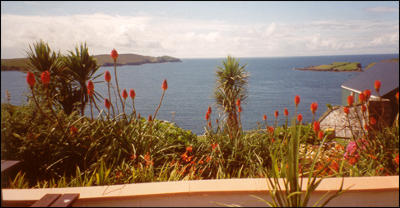 view from B&B dining room & bedrooms